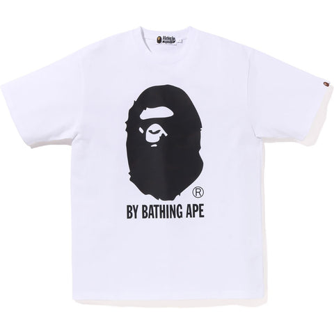 BAPE THERMOGRAPHY BY BATHING APE TEE M