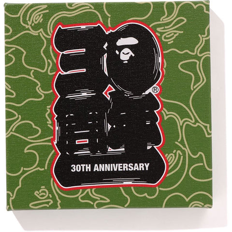 BAPE® 30TH ANNIV. CANVAS MEDIUM