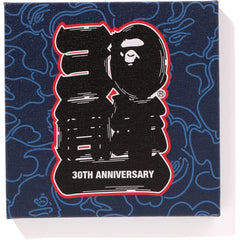 BAPE® 30TH ANNIV. CANVAS SMALL