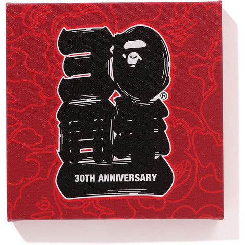 BAPE® 30TH ANNIV. CANVAS MEDIUM