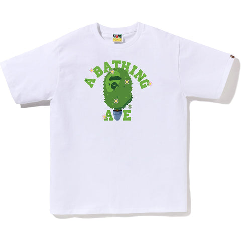 BONSAI COLLEGE TEE MENS