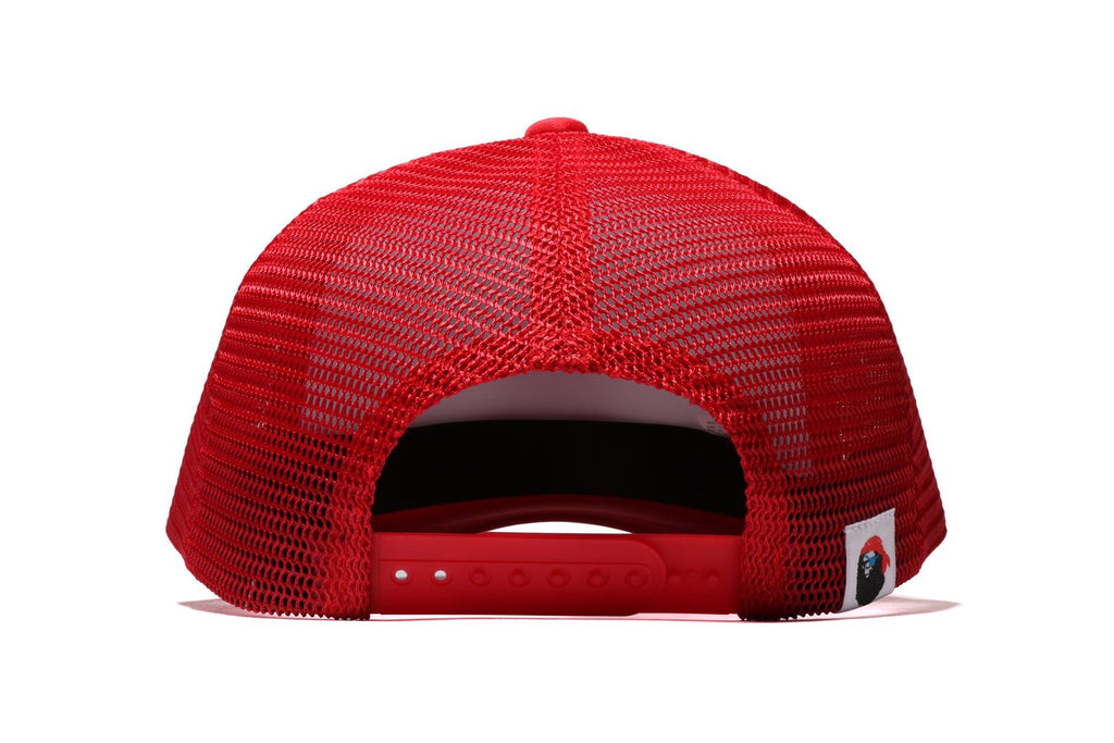 APE CROSSBONE COLLEGE MESH CAP MENS | us.bapepirate.com